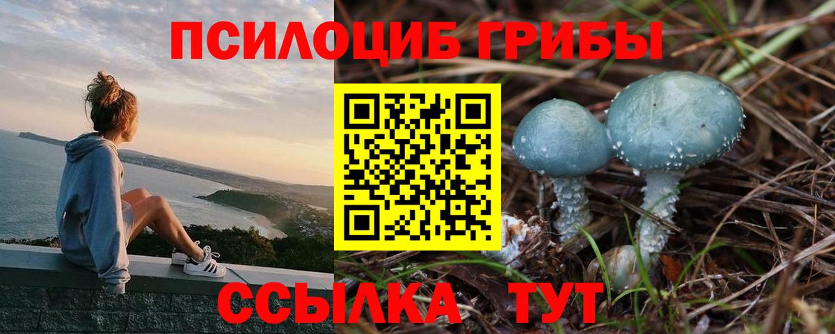 Елизово  Псилоцибиновые грибы Psilocybe  Вход с VPN  Галлюциногенные грибы Cubensis 